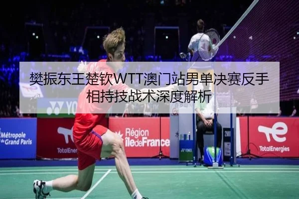 樊振东王楚钦WTT澳门站男单决赛反手相持技战术深度解析