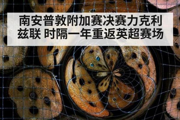南安普敦附加赛决赛力克利兹联 时隔一年重返英超赛场